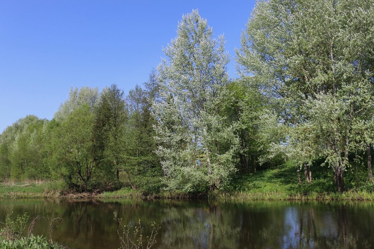 Комплексы для отдыха с коттеджами/бунгало Dorf Rudniki-27